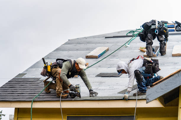Professional Gutter Installation technician working in Clarkton, NC